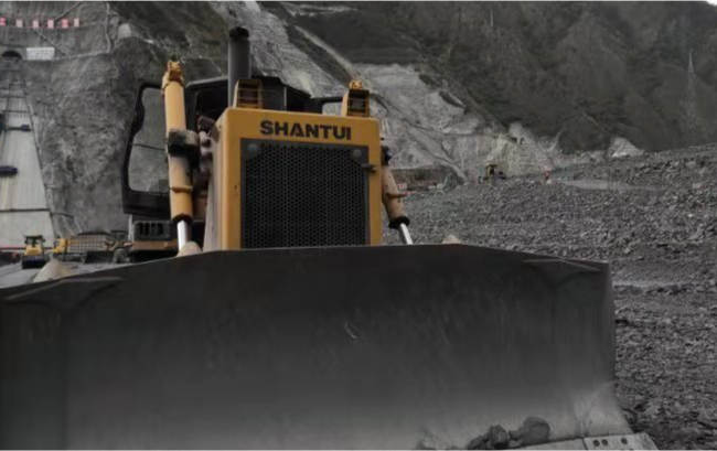 81970f678c494da1a906c4ff26fa2516